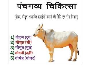 Panchgavya Chikitsa
